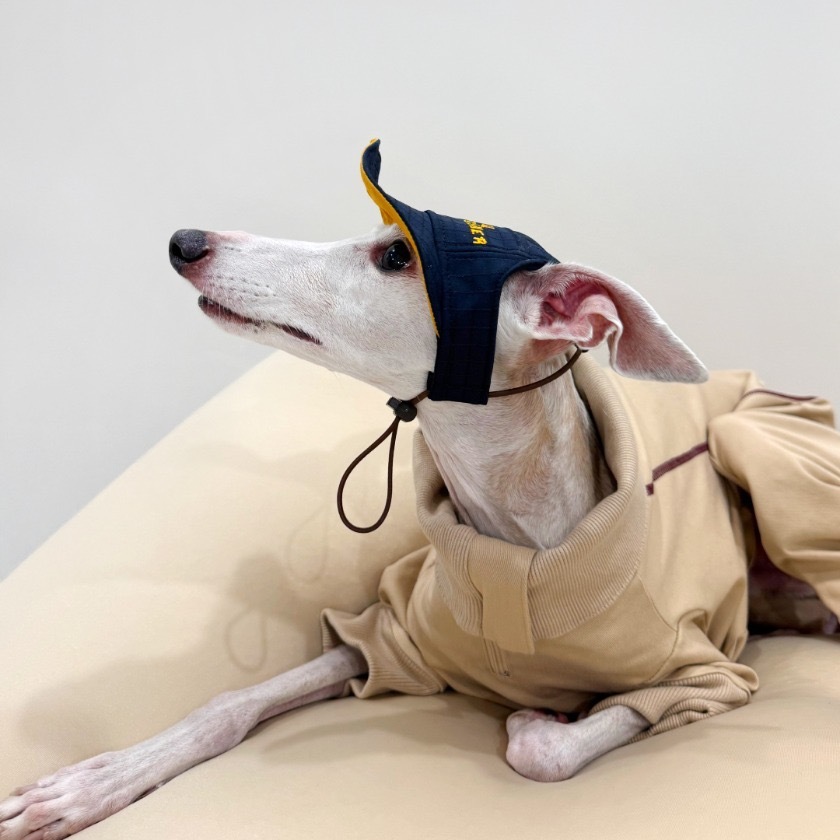 Hard walker Camp Cap 野營帽