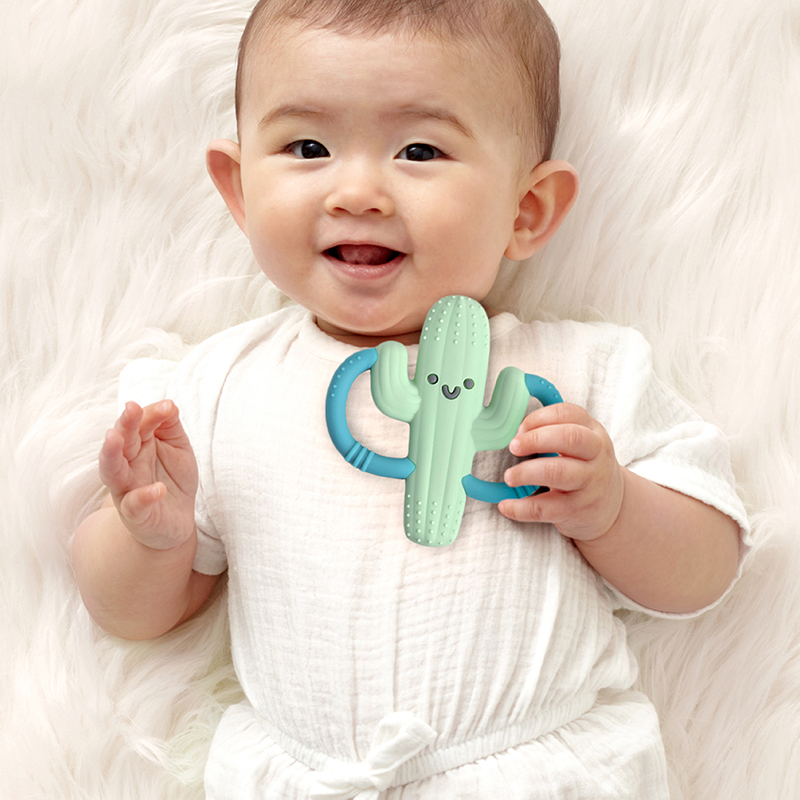 Itzy Ritzy 矽膠固齒小夥伴-俏皮仙人掌