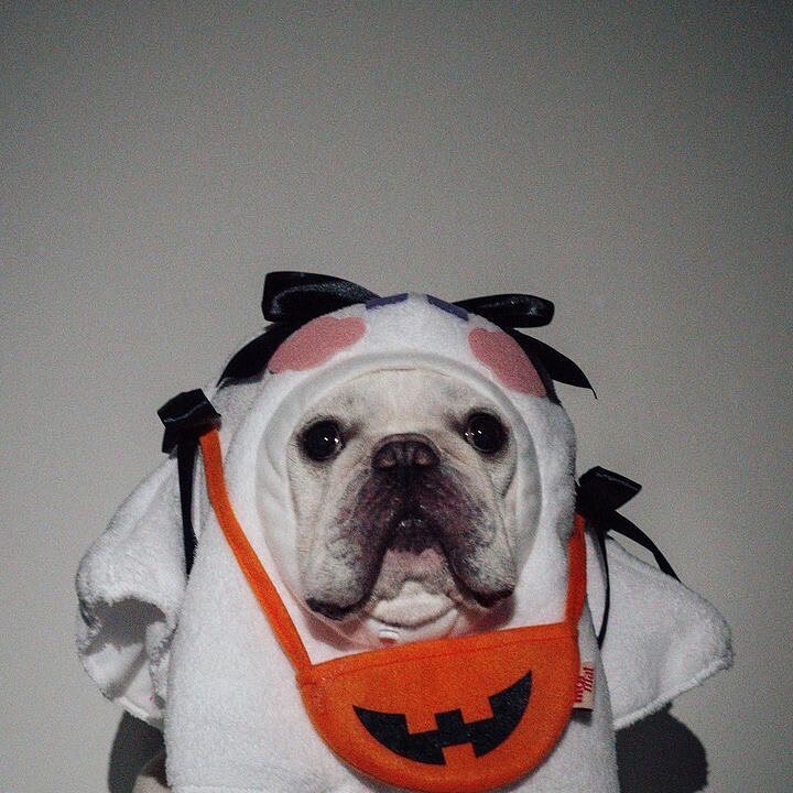 Mormat｜ My Little Ghost  👻  會發光！