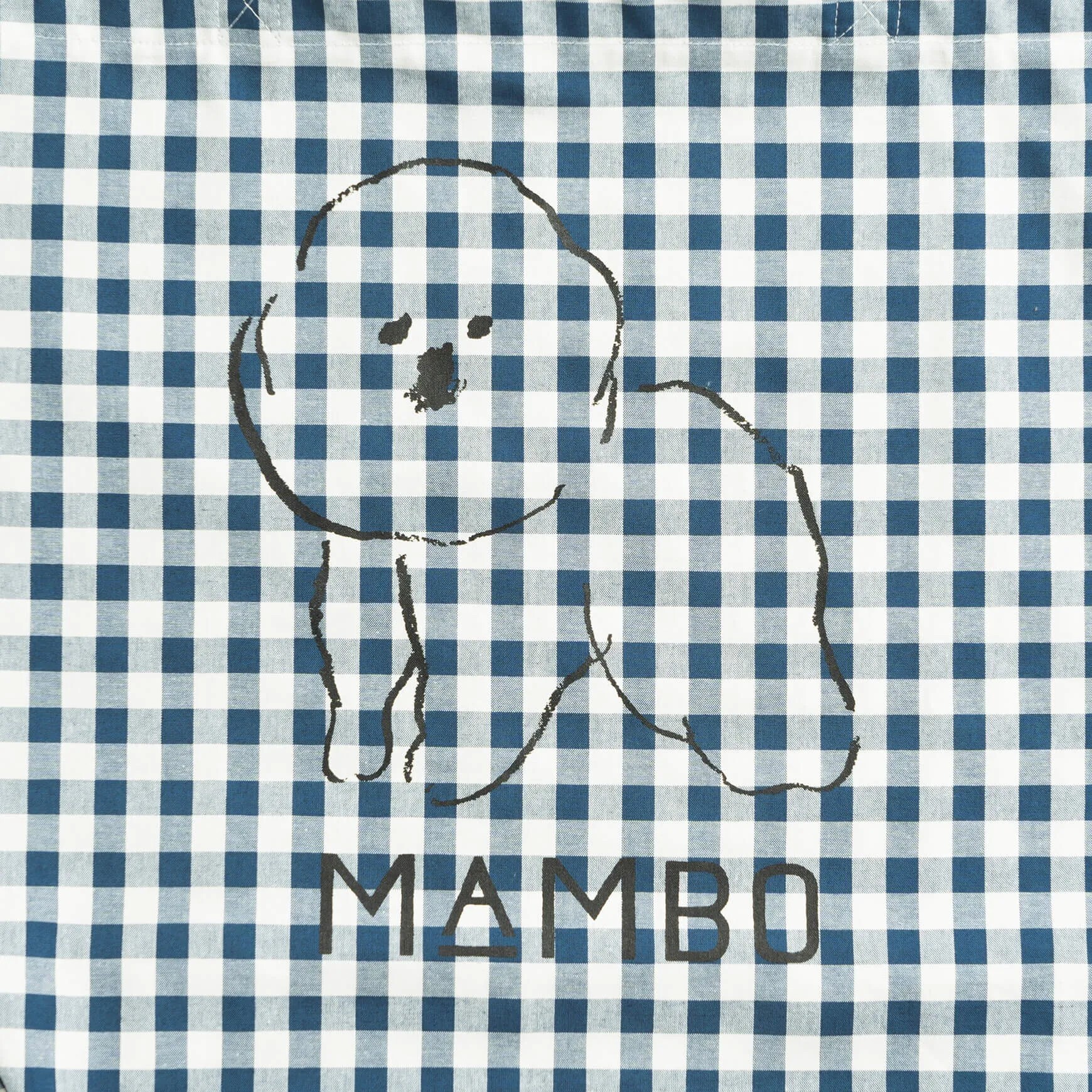 CLASKA - MAMBO 格紋托特包L / 藍色