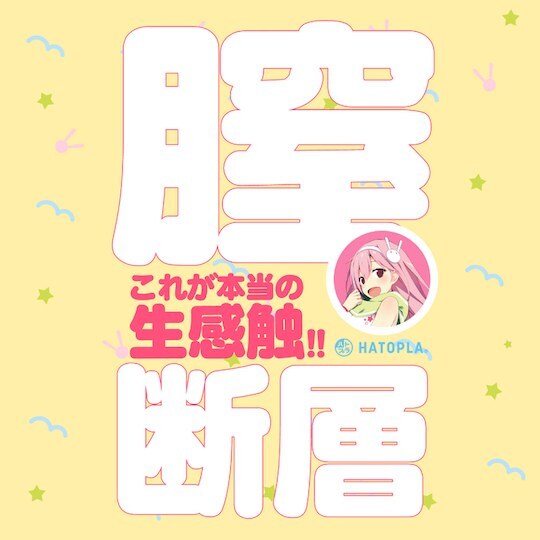 G PROJECT,日本 G PROJECT,G PROJECT 自慰套,男用自慰套,男用飛機杯,飛機杯,二次元自慰套,二次元飛機杯,生PUNIVIRGIN ぷにばーじん EXCITE とは,生PUNIVIRGIN膣斷層EXCITE非貫通男用自慰套,生 PUNIVIRGIN EXCITE