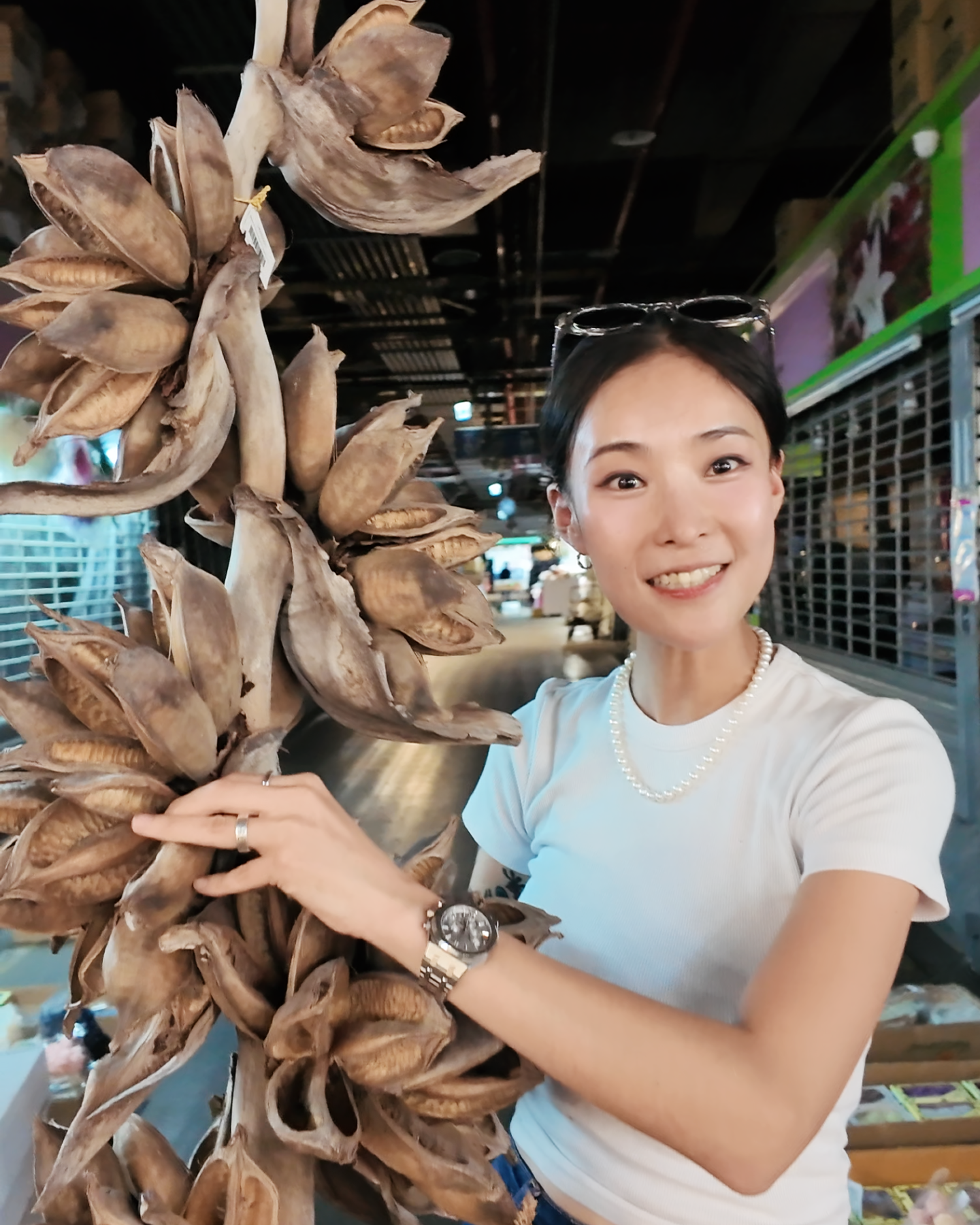 巴西乾燥椰子樹