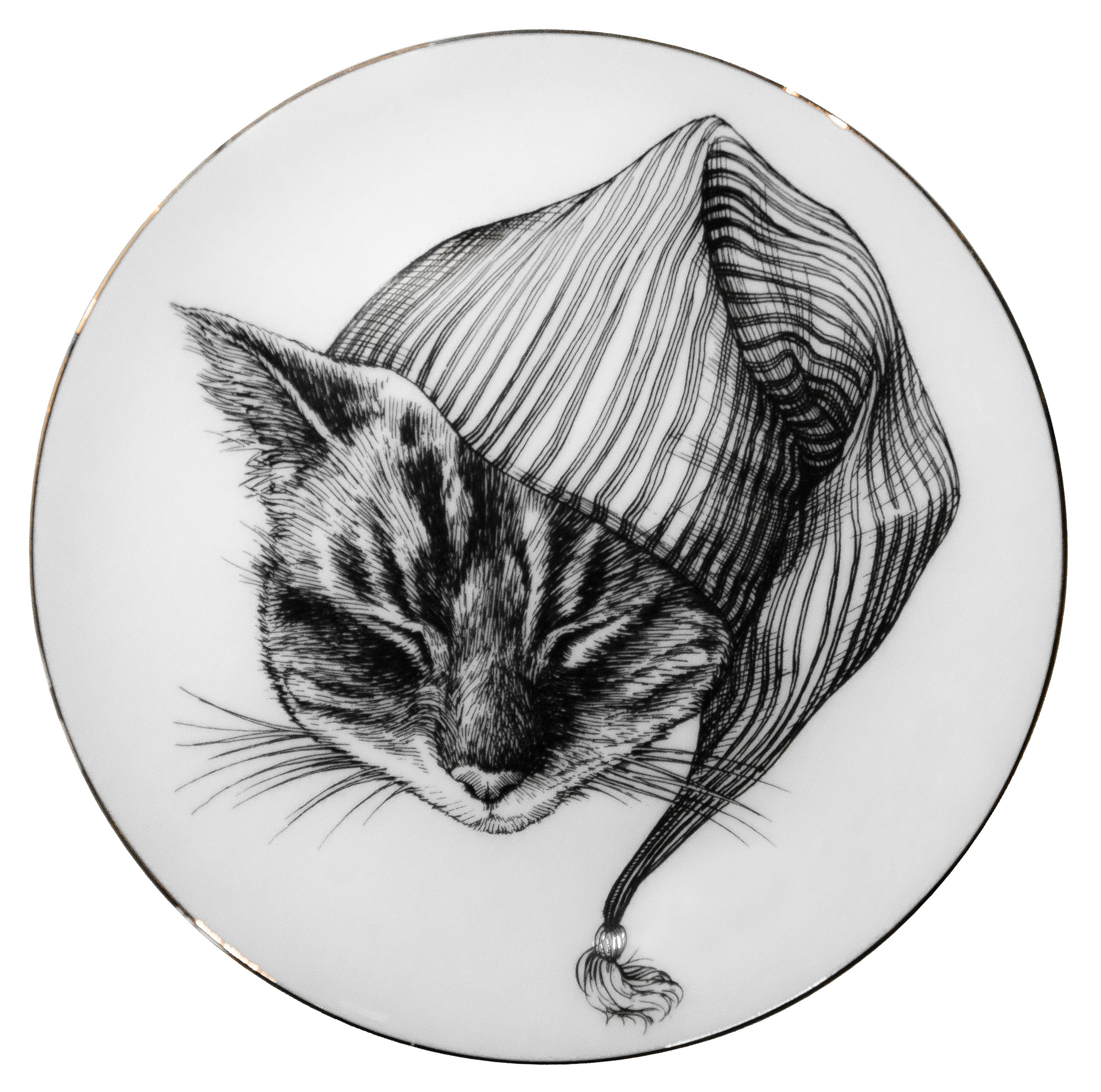 打瞌睡的貓點心盤