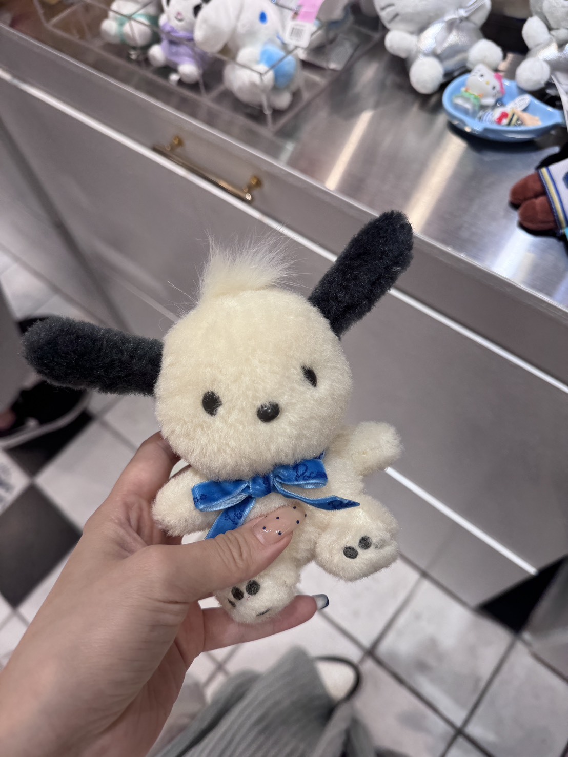 韓國連線 - 大耳狗 / 帕恰狗