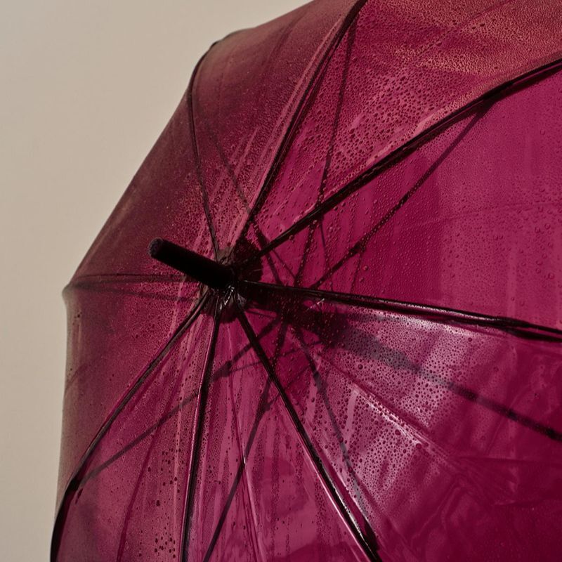 Canopy (Recycled) / 雨傘