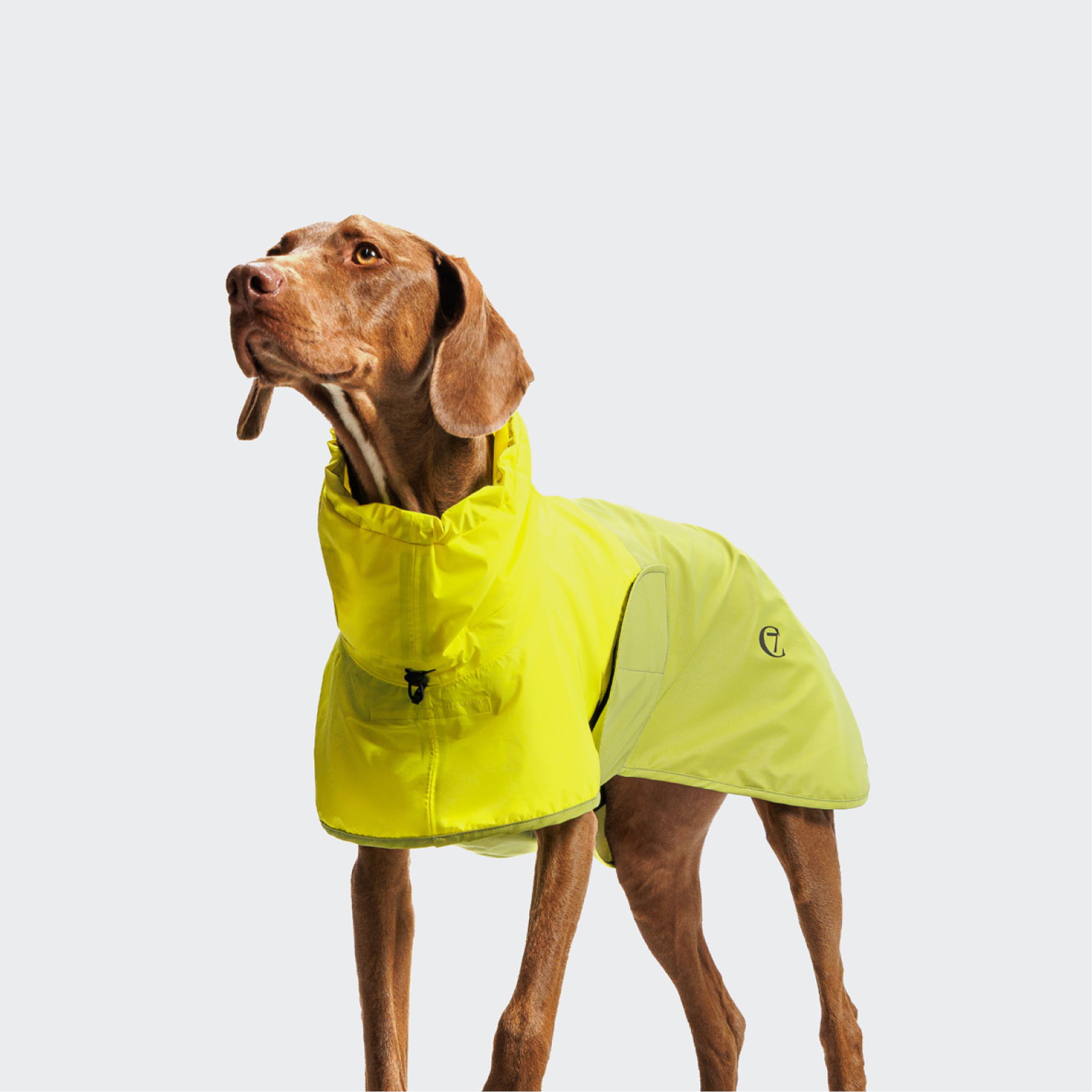 CLOUD7 - 雨衣 AKTIV - 螢光綠