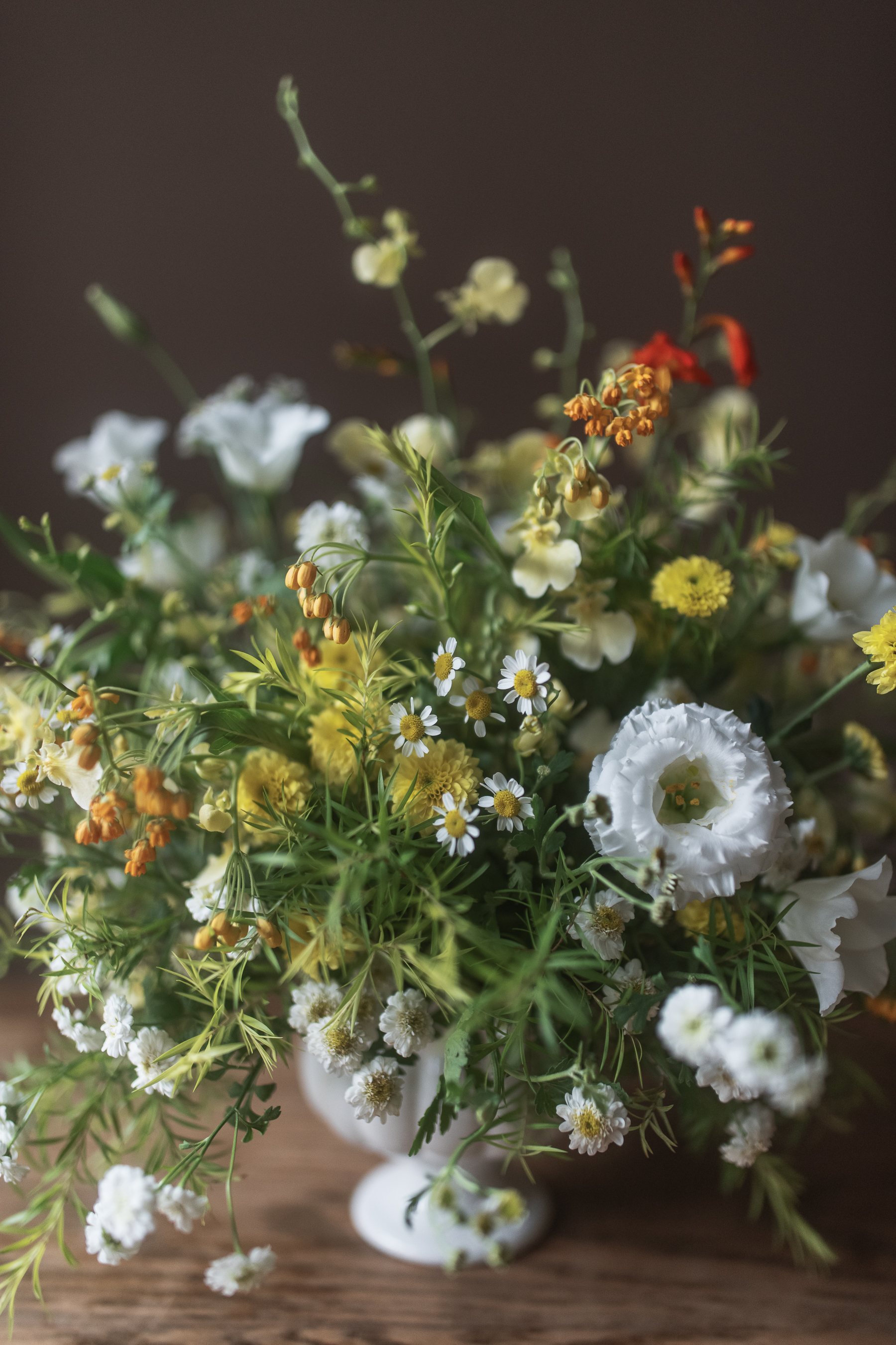 菊幻花園 | 桌花