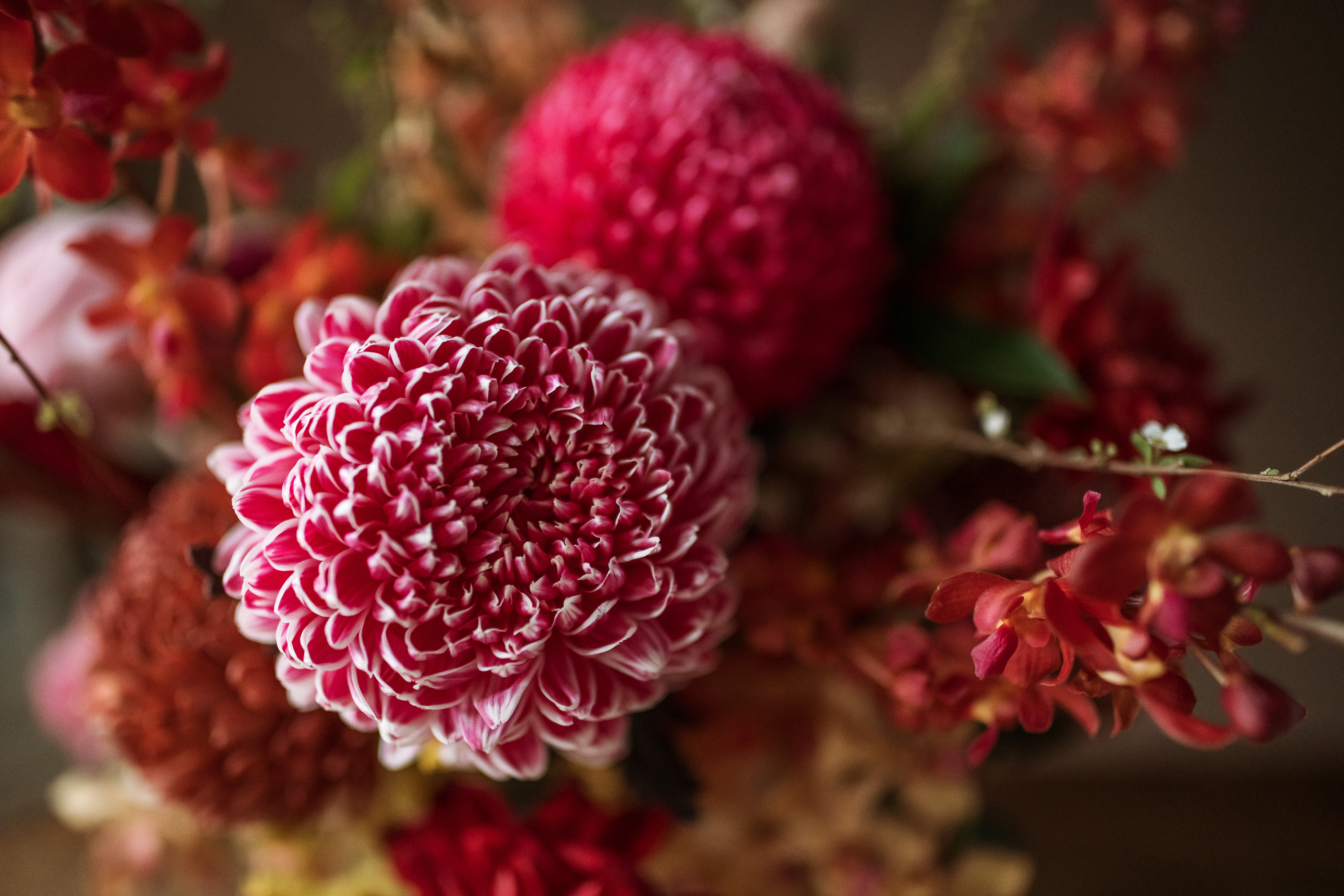 牡丹報喜 | 桌花