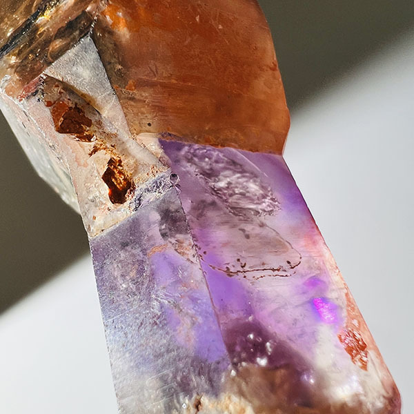 創作人形・吸血鬼の標本（紫水晶） 果石嚴選紫水晶骨幹，呈現豐富層疊的能量感，紫水晶功效能平靜身心｜增