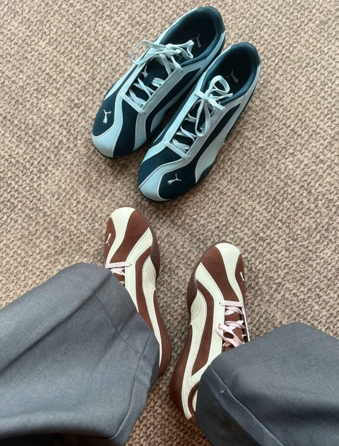 Puma Bella V2 Suede 棕色 藍色 麂皮 皮革 薄底鞋 404709-02 404709-01/預購