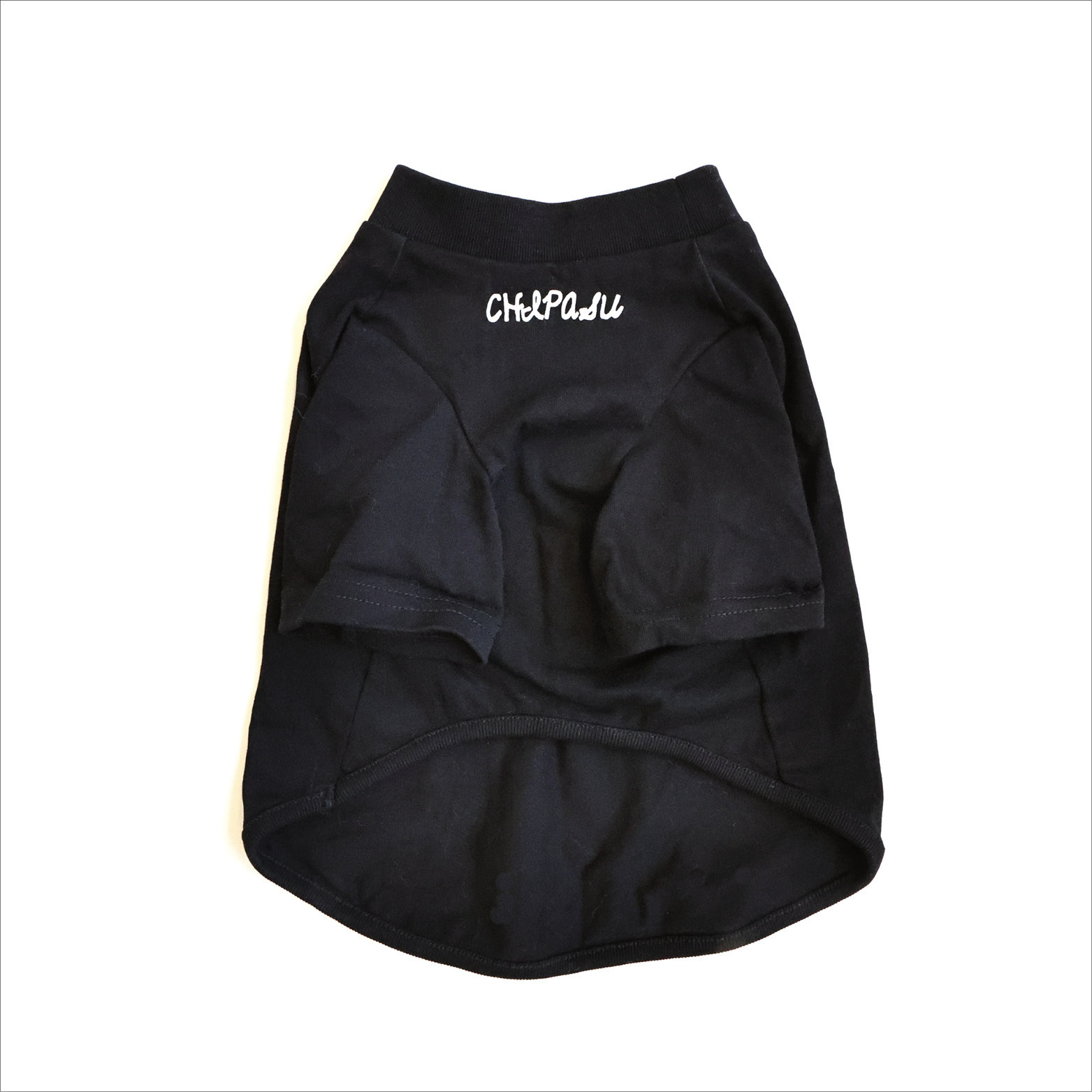 Chipasu - 狗短踢 狗結構