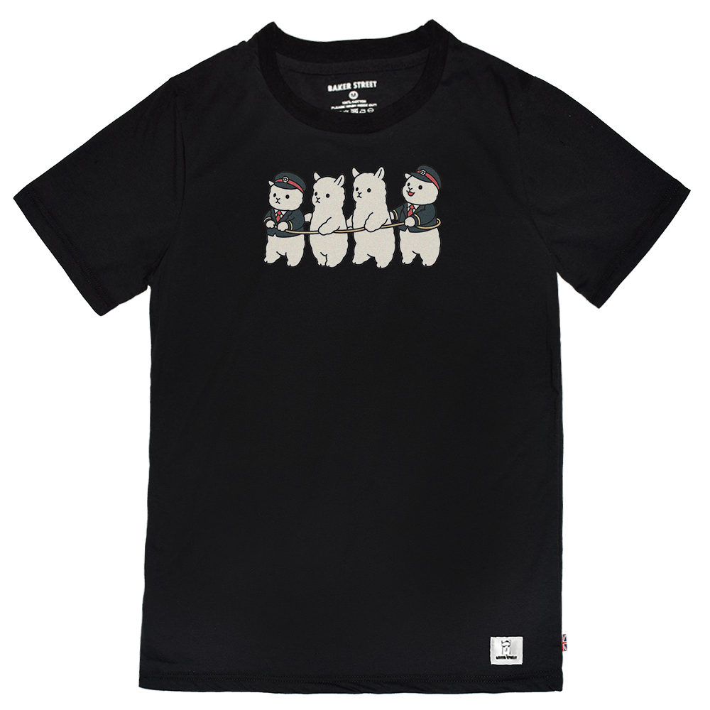 駝福山迪 alpacasand