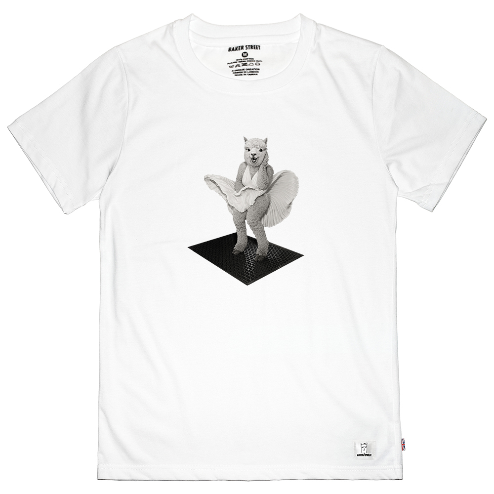 瑪麗蓮夢駝 Marilynpaca