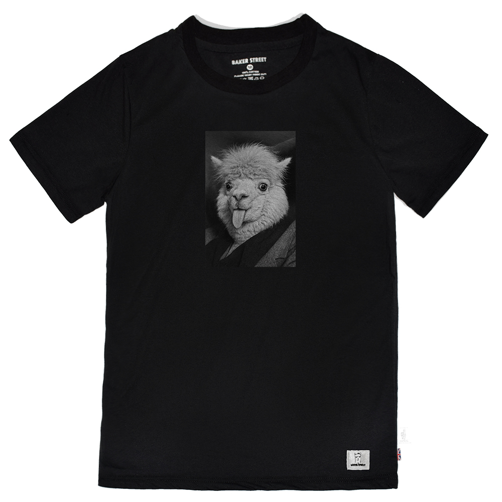 愛因斯駝 Einsteinpaca