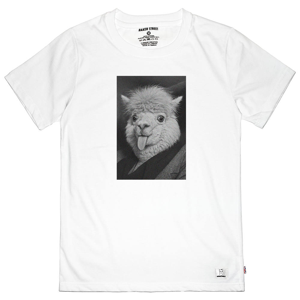 愛因斯駝 Einsteinpaca