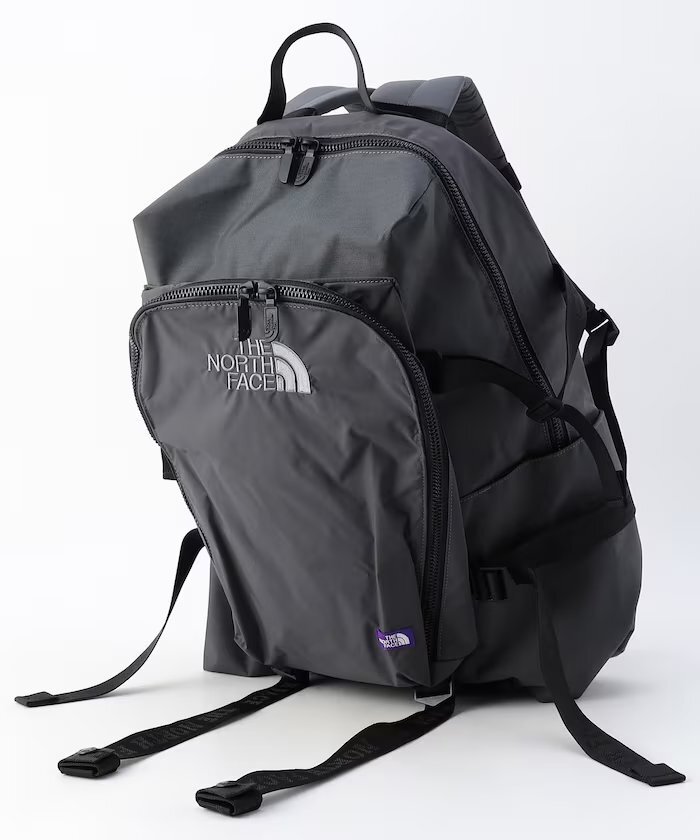 The North face 日本限定紫標 尼龍後背包 20L