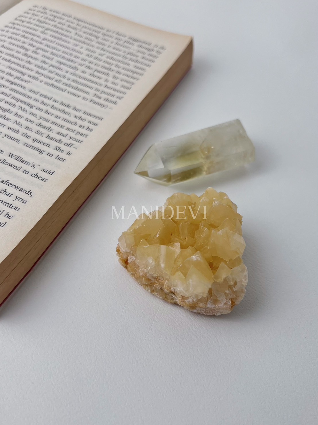 稀有小蜜蜂豐盛能量組