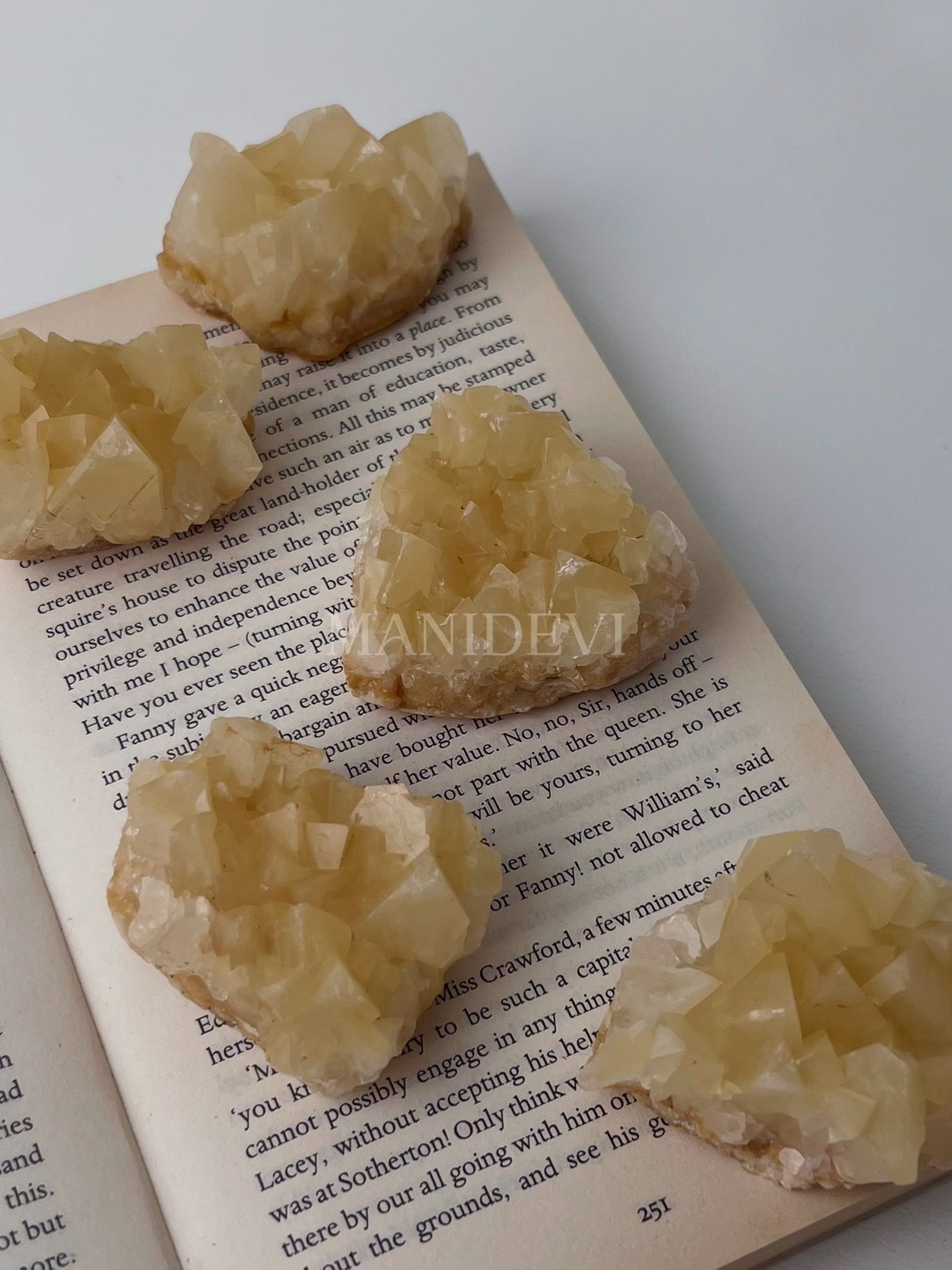 稀有小蜜蜂豐盛能量組