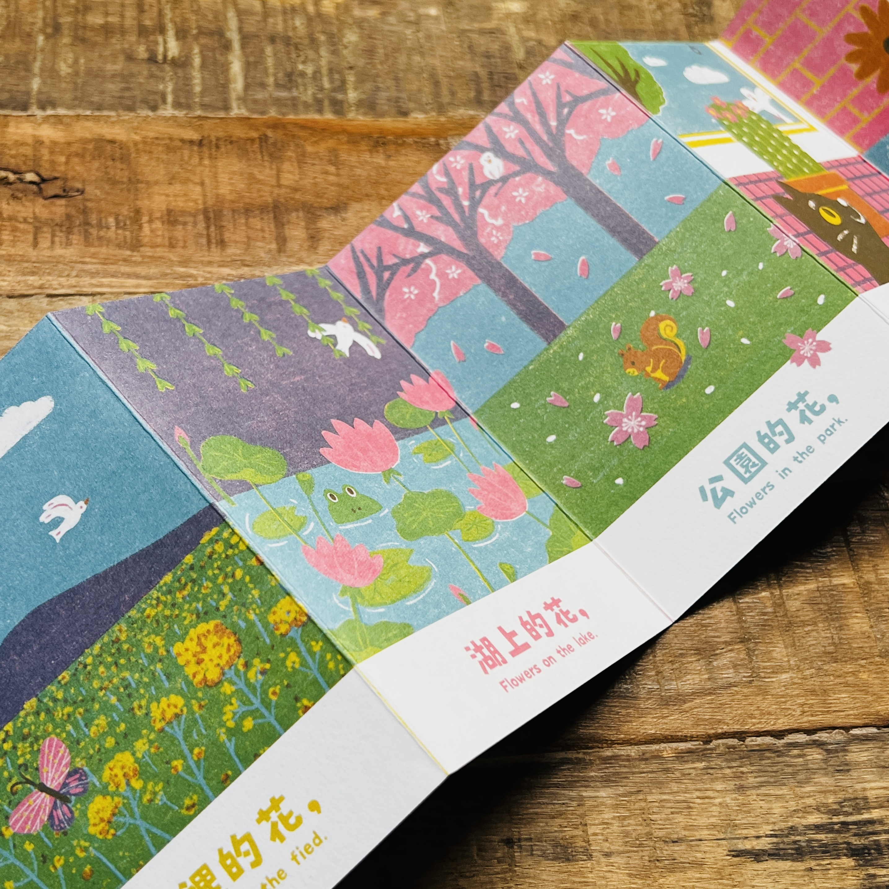 Flowers/插畫小誌