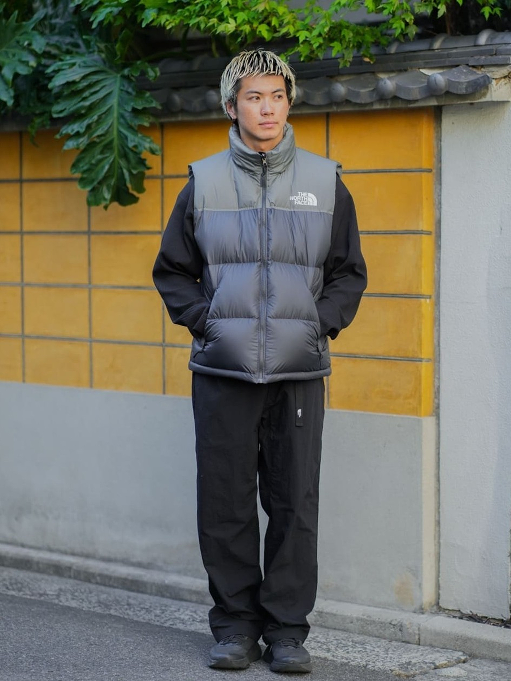 日本 THE NORTH FACE｜Nuptse Vest