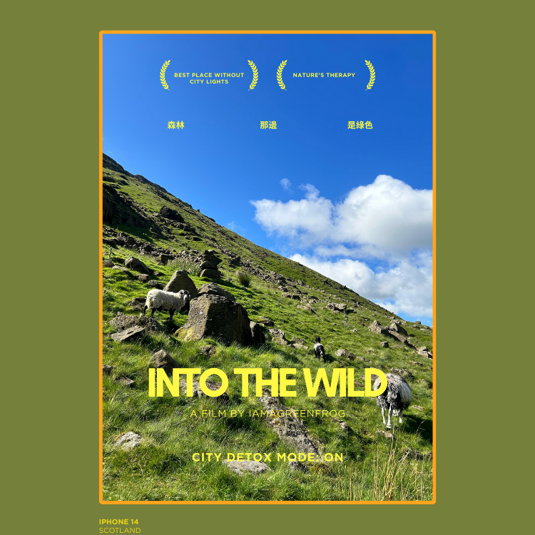 *Into the Wild* Quotes Poster [預售]