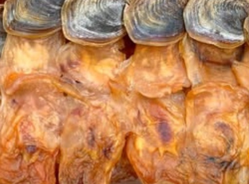 原隻生曬有奄響螺乾 L size 大螺片 (一斤約12-18頭）(H9 PB268)