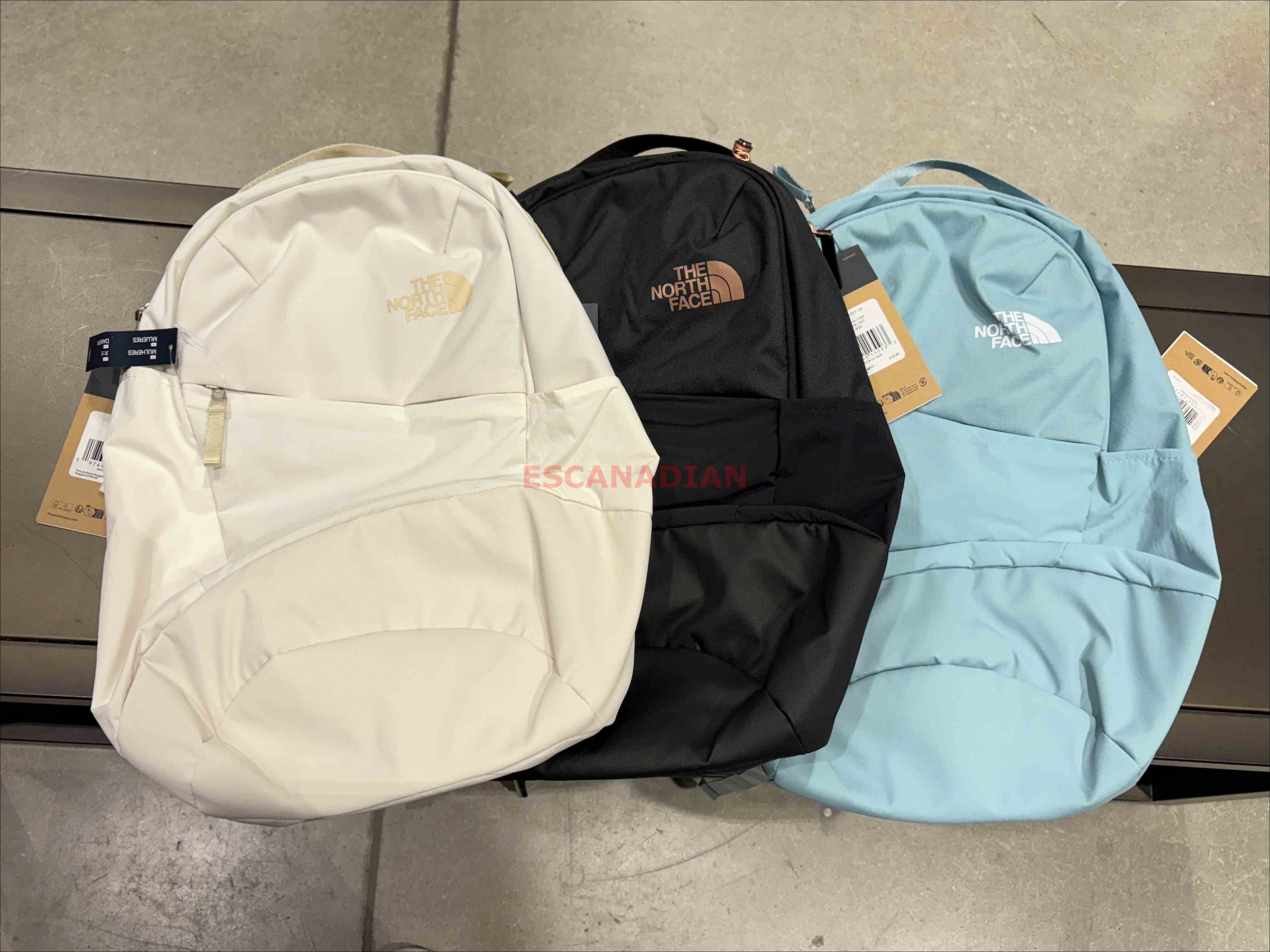 THE NORTH FACE 女大人 Isabella系列 (20L) 雙層多功能 後背包