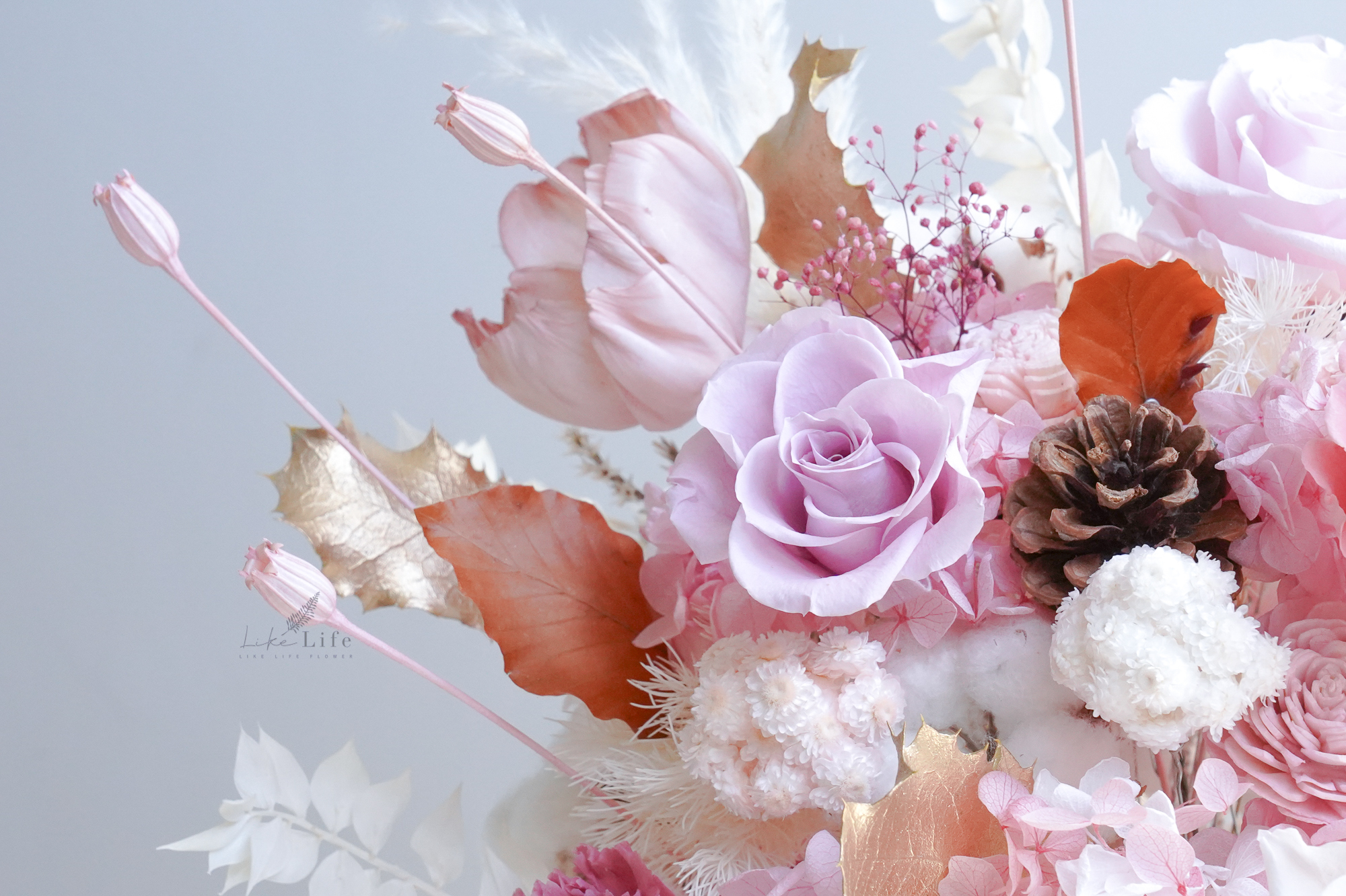 粉色永生花開幕盆栽,粉色開幕盆栽推薦玫瑰花,粉色永生花