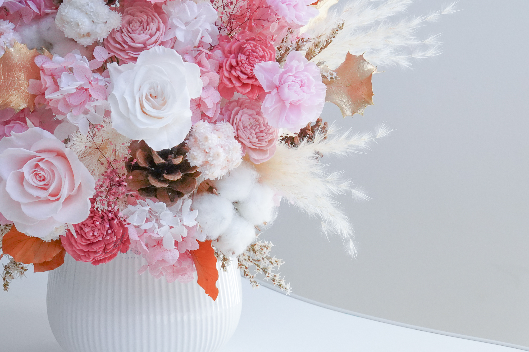 粉色永生花開幕盆栽,粉色開幕盆栽推薦