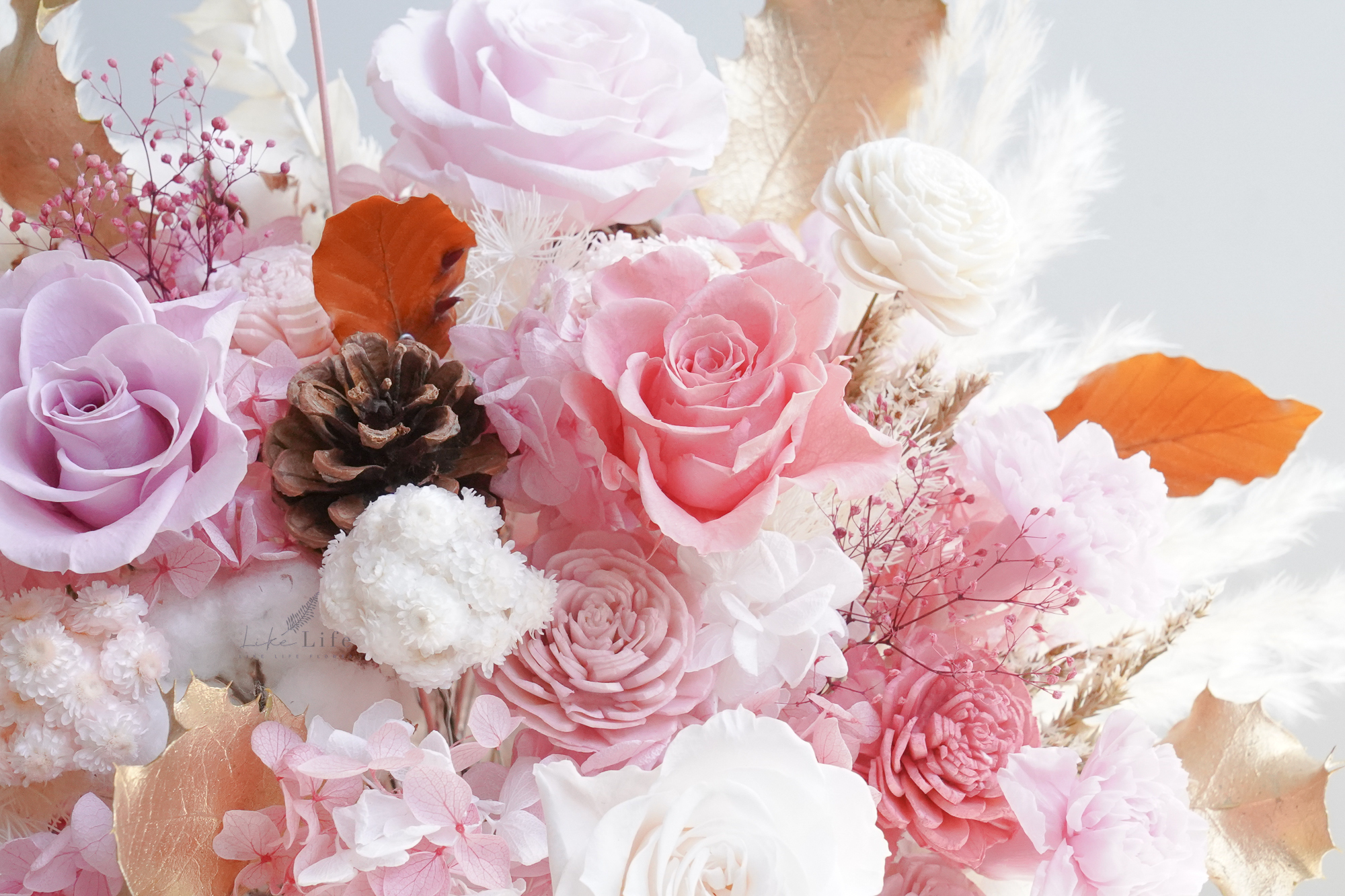 粉色永生花開幕盆栽,粉色開幕盆栽推薦玫瑰花特寫