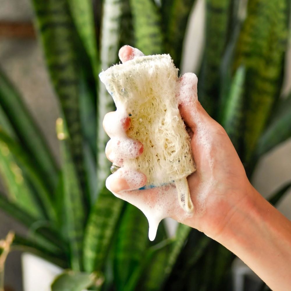 【童心星球】Superbee 天然洗碗絲瓜海綿布