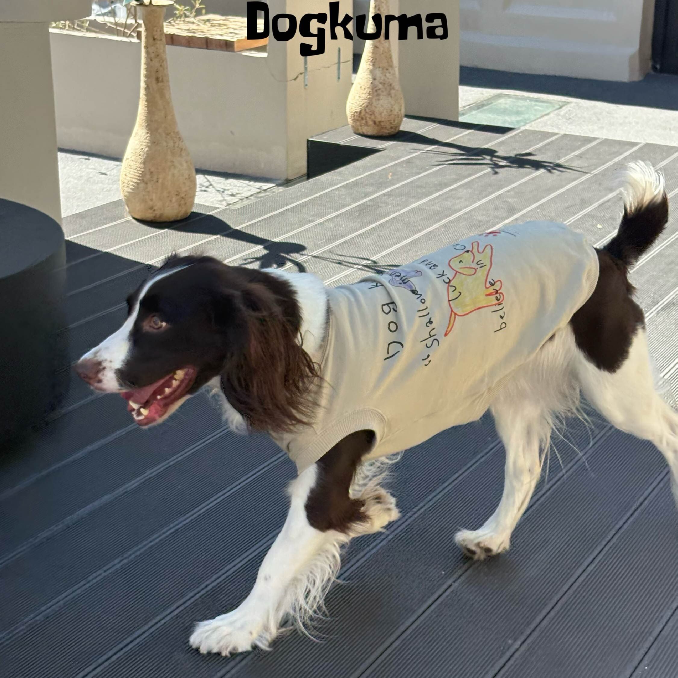 DOGKUMA - 幸運小狗親子大學踢-寵物款