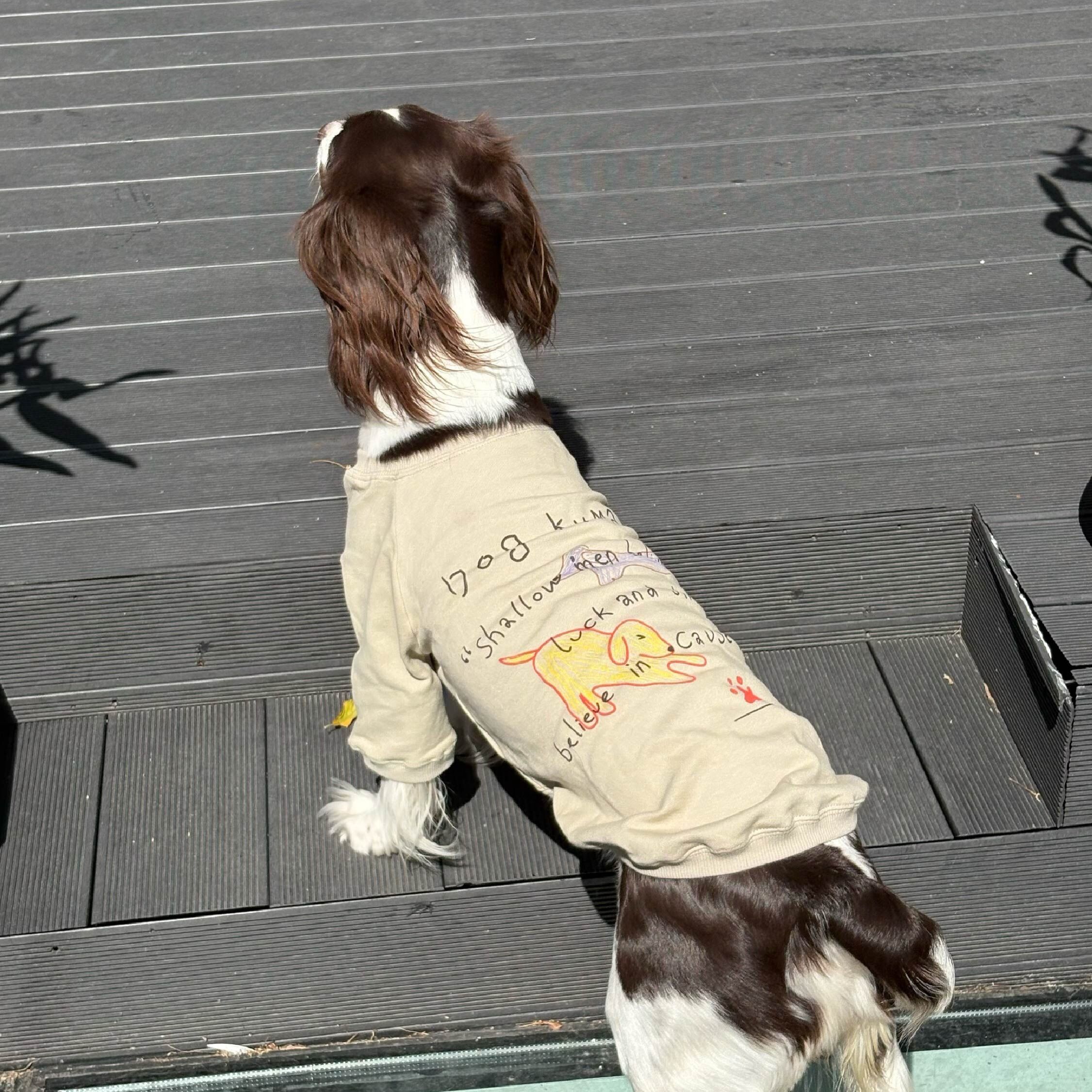 DOGKUMA - 幸運小狗親子大學踢-寵物款