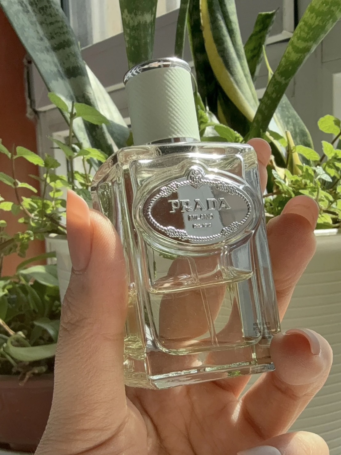 <線上SALE❤️‍🔥> PRADA 水印私藏系列 浮夢鳶尾 30ml