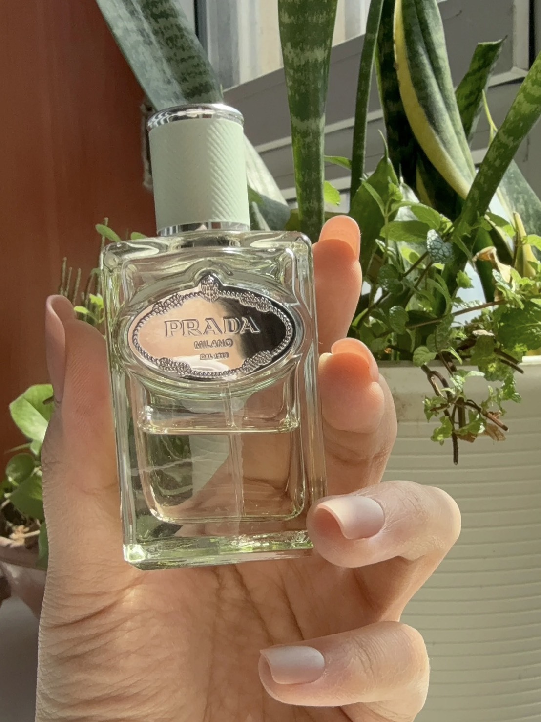 <線上SALE❤️‍🔥> PRADA 水印私藏系列 浮夢鳶尾 30ml