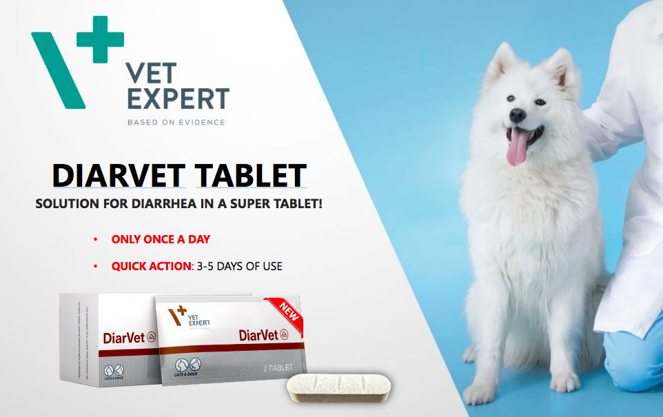 Vet Expert  -止屙藥丸 -  一盒30粒 (貓狗適用)