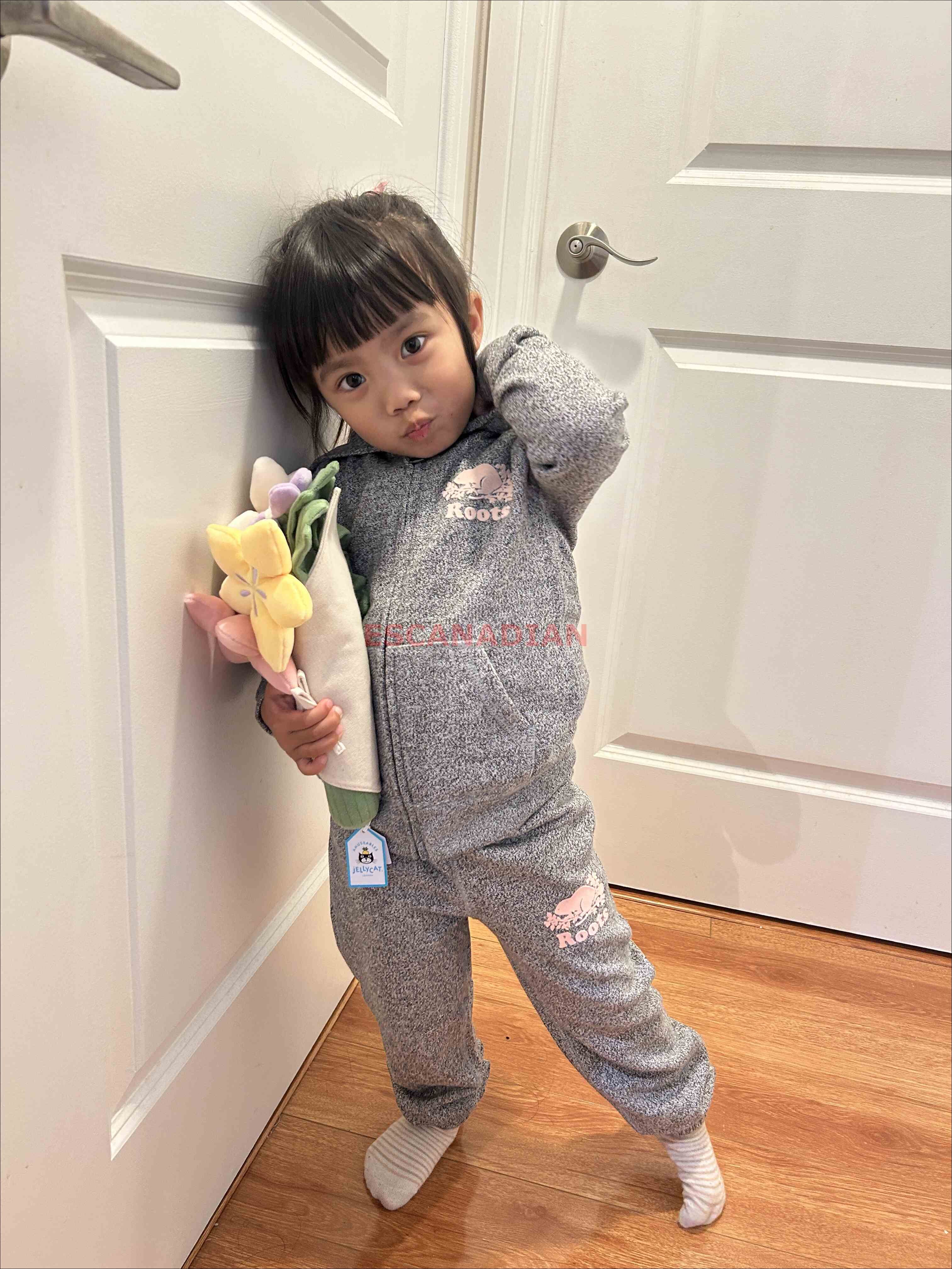 ROOTS 小童/baby 經典款 海狸 刷毛 連帽外套 (3色)