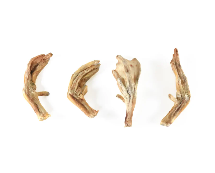 TREAT ME | 如來鴨掌