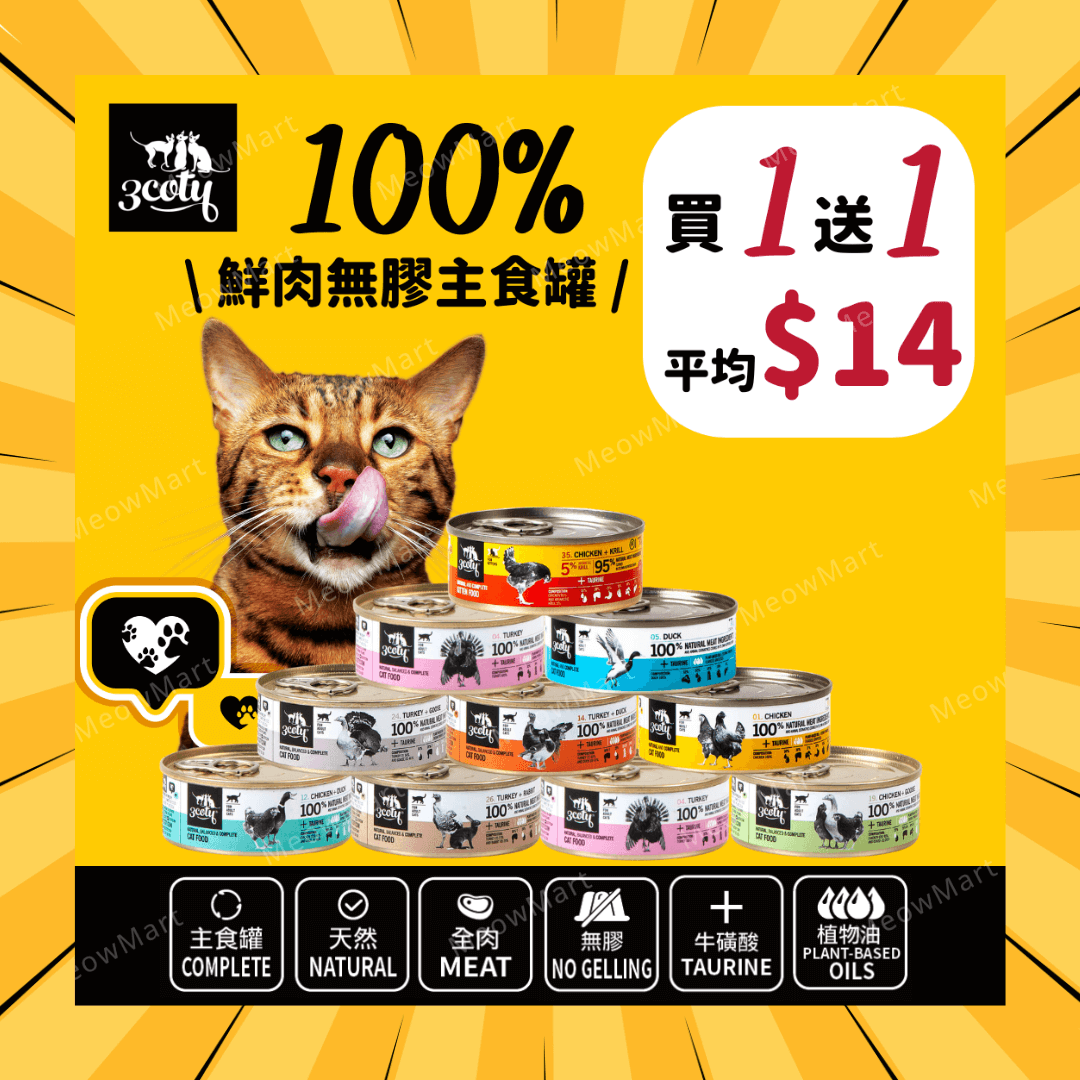 【買1送1】3coty®100%鮮肉無膠主食罐(成貓) 80g  (平均$14)