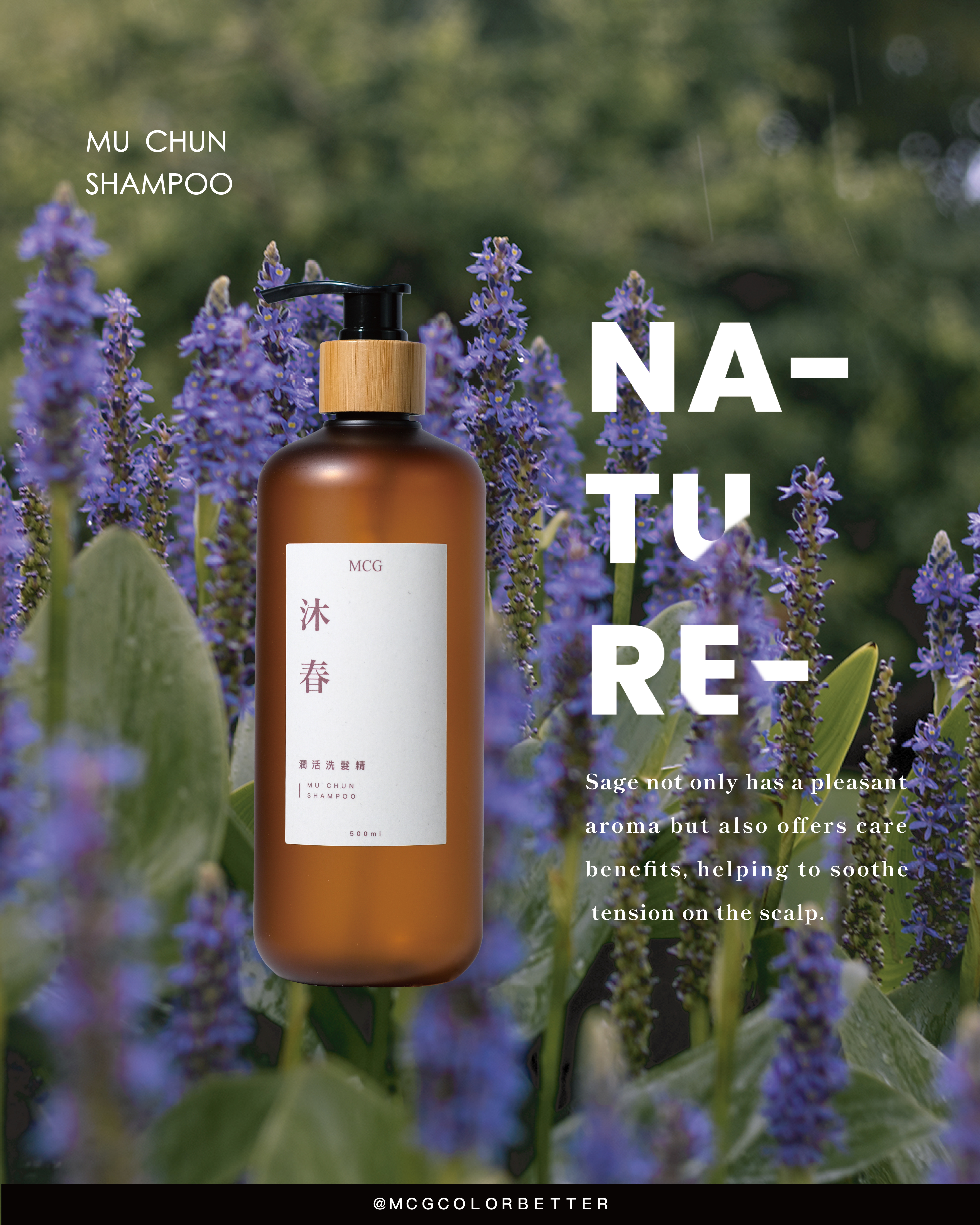 Herbal lovers must-read! Sage shampoo recommendation: natural scent, soothing, and oil-control!