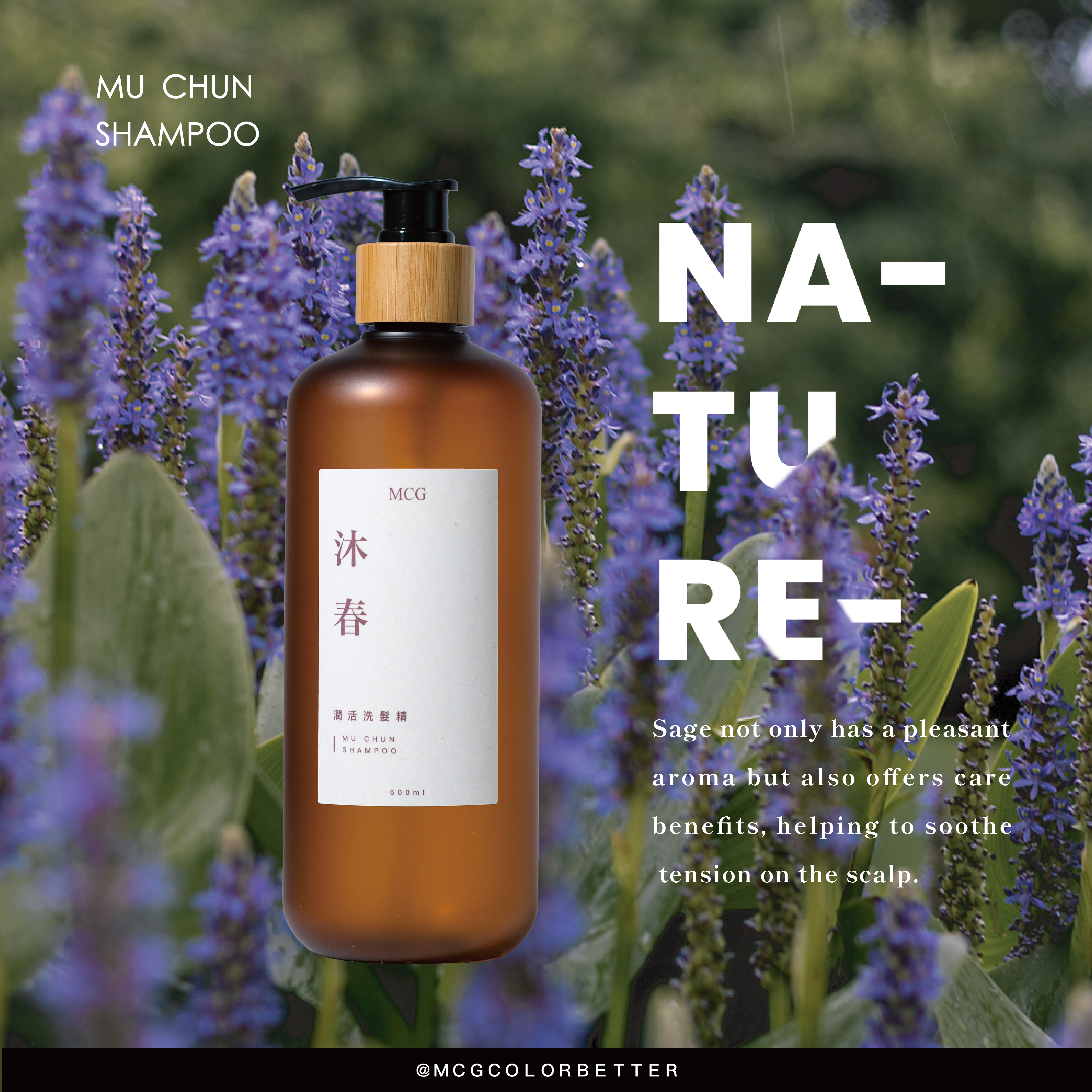 Herbal lovers must-read! Sage shampoo recommendation: natural scent, soothing, and oil-control!