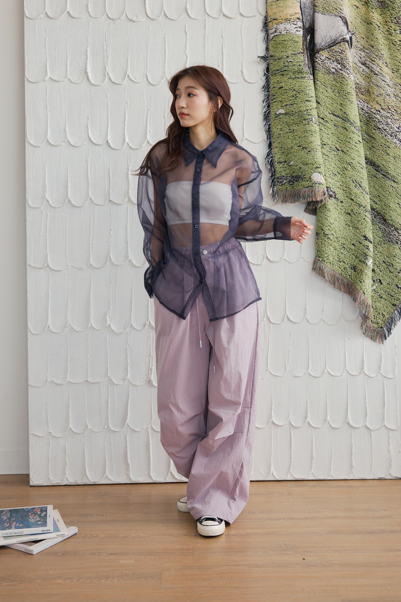 挺版薄紗襯衫上衣