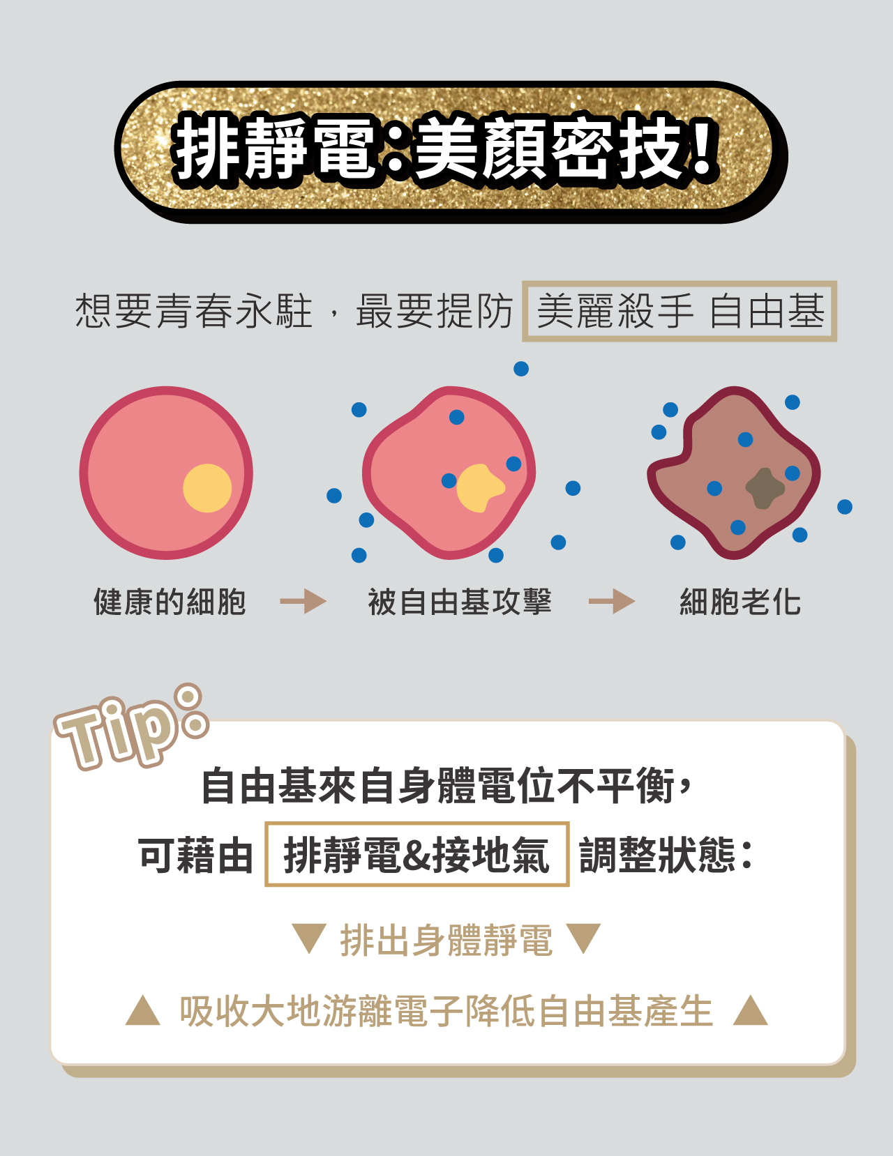 USTINI 我挺你健康鞋 月兔極地鞋接地氣排靜電鞋 排靜電可以幫助美顏 排除自由基