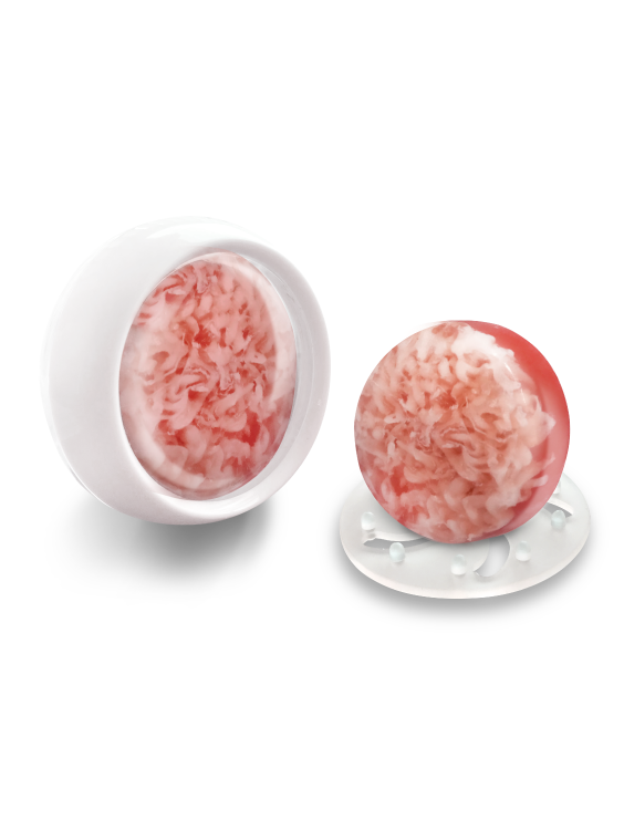 (旅行組) - 星幻結晶-玫瑰