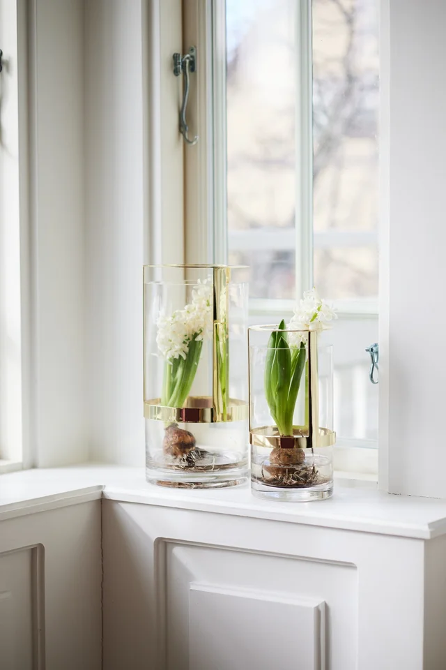 Sagaform-Hold 花器-金,可作為水仙花球莖的生長容器