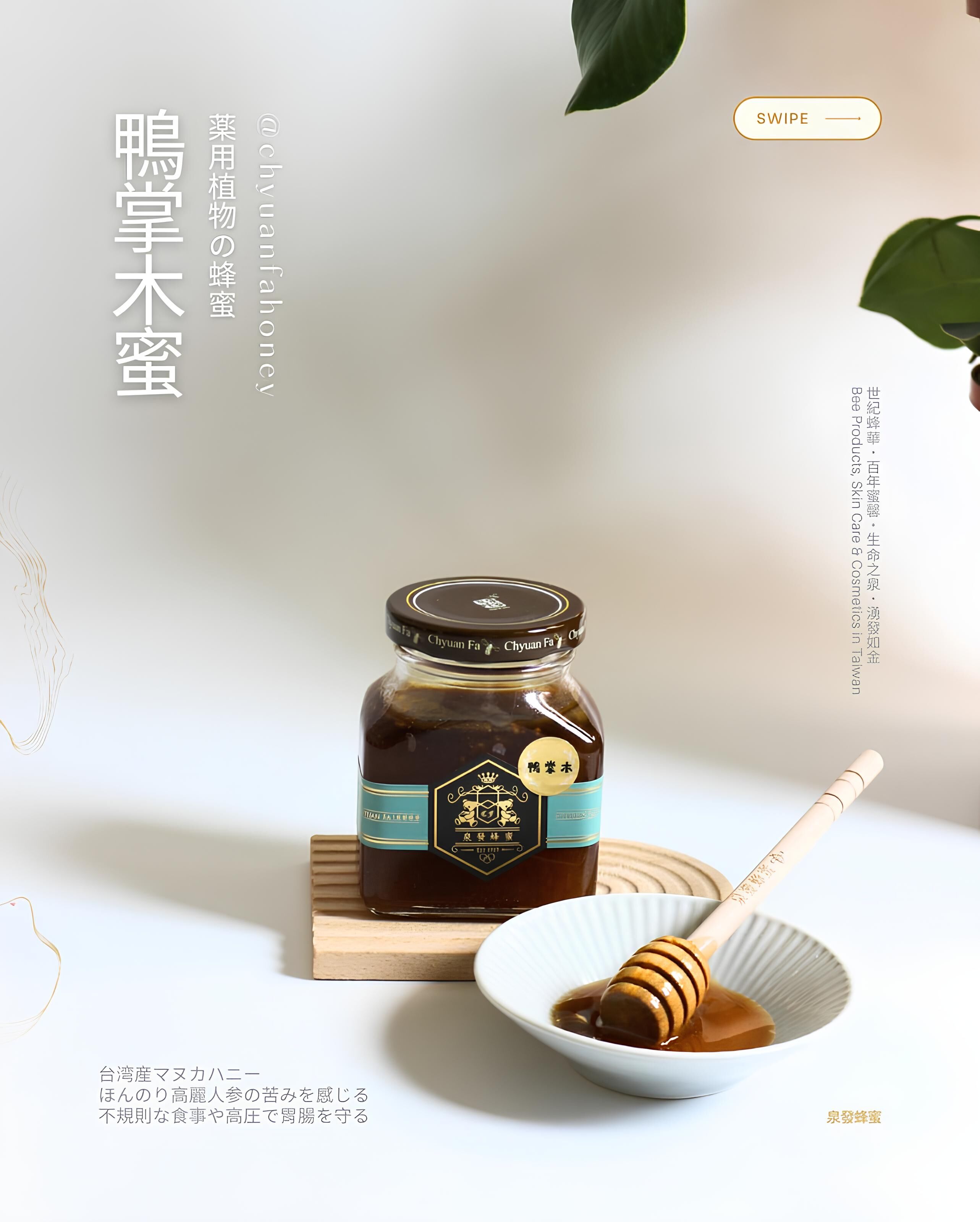 【直播】泉發 LL91704 鴨掌木蜜250g