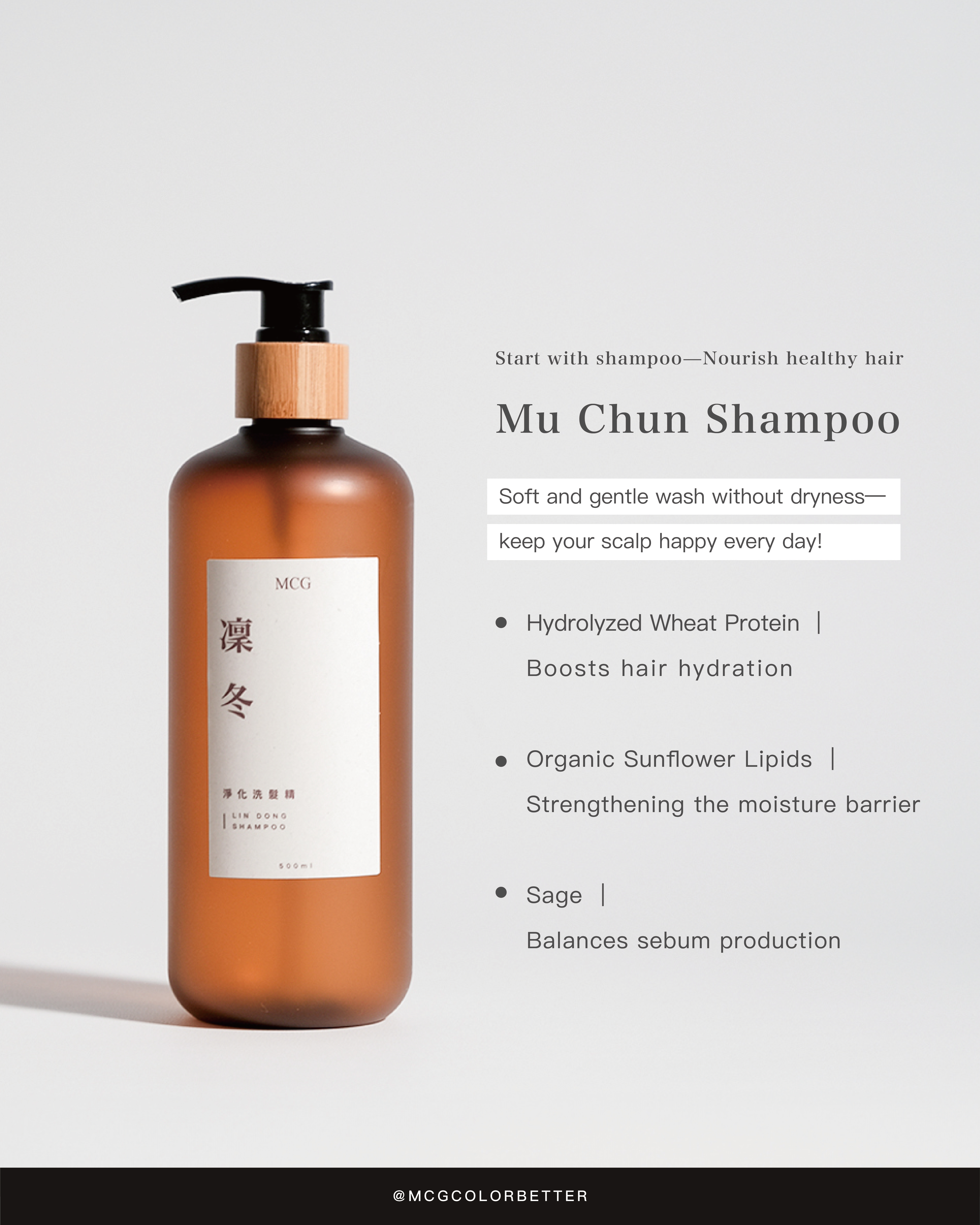 Recommended shampoo: Mu Chun Shampoo – moisturizing + oil control for a healthy scalp