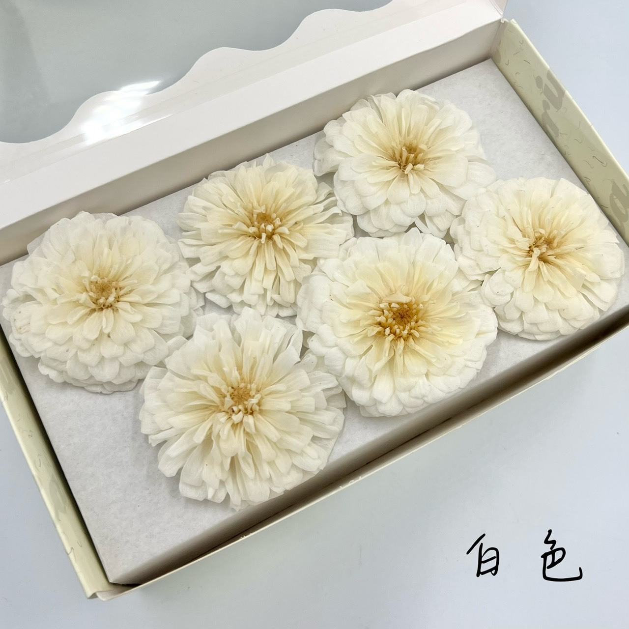 不凋百日菊(6朵)