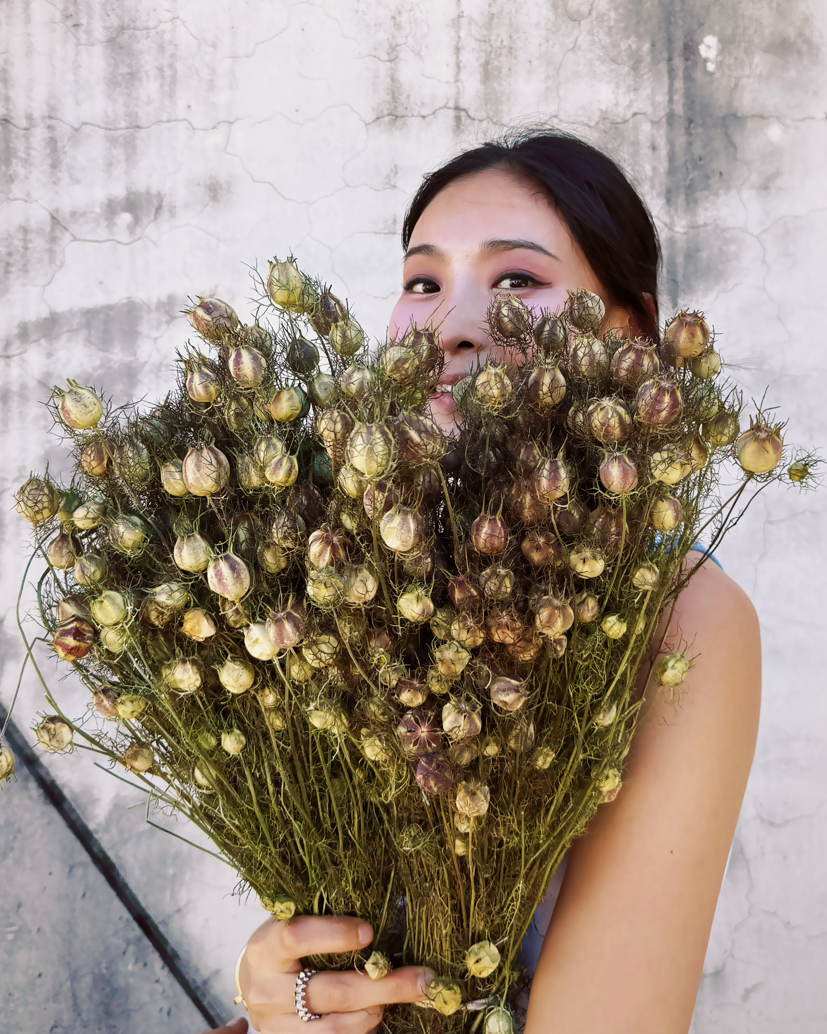 乾燥黑種草 (荷蘭)