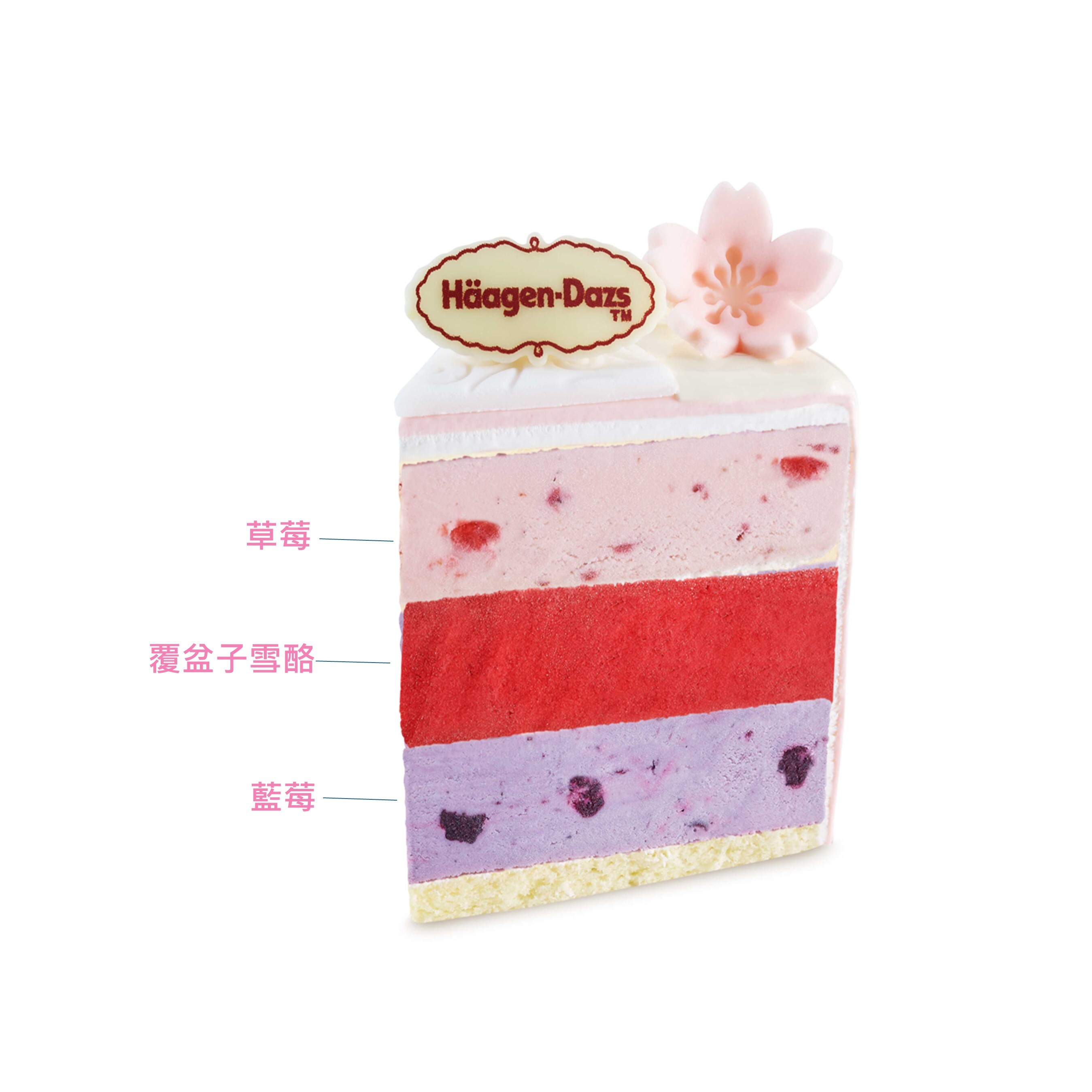 小花園冰淇淋蛋糕